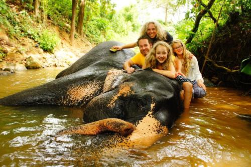 Rambukkana Casa | Jungle Village Homestay