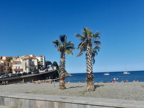 Banyuls-sur-Mer Apartamento | Junior 14600