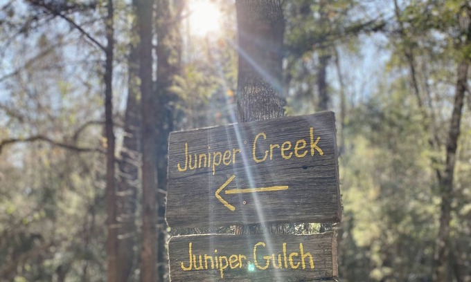 Harold Cabaña | Juniper Creek Cottage- on 10 acres with a creek!
