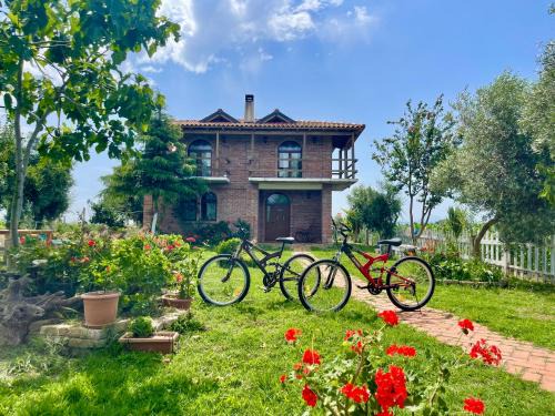 Fier Casa | Juniperus Village House