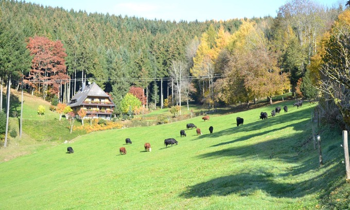 Oberwolfach Apartamento | Königswald-Silberberg-Kupferberg, 70sqm, 2 bedrooms, max. 6 people