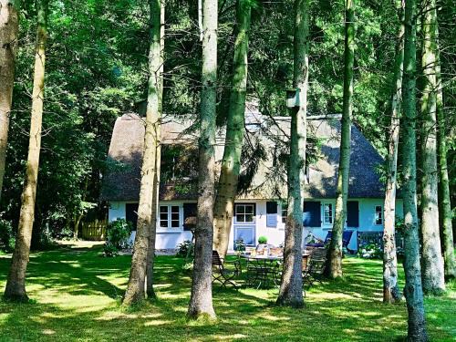 Rabenkirchen-Faulueck Casa | Küstenwäldchen