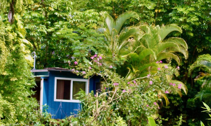 Wainiha Casa | Kai Honu Home