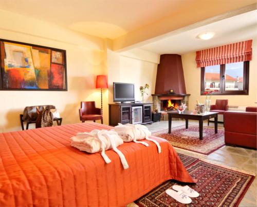 Panagitsa Casa | Kaimak Mountain Lodge