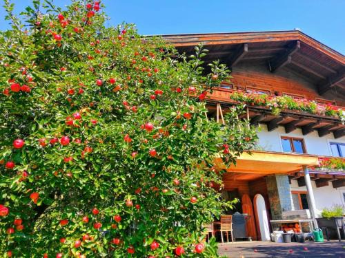 Muhlbach im Pinzgau Apartamento | Kaiser