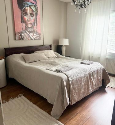 Mikkeli Apartamento | Kaksio paritalossa