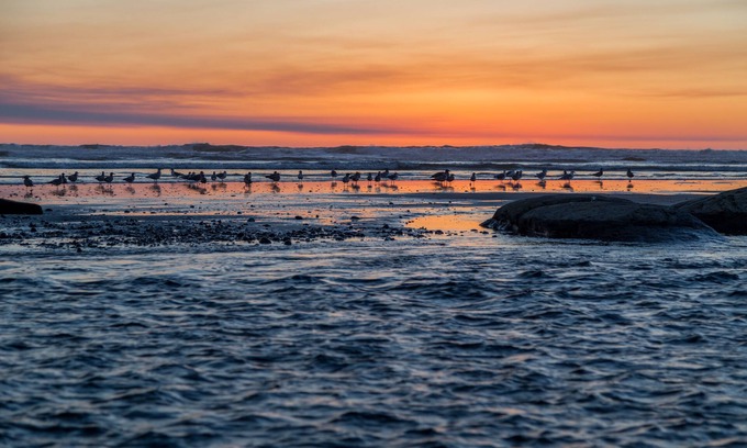 Kalaloch Cabina | Kalaloch Lodge