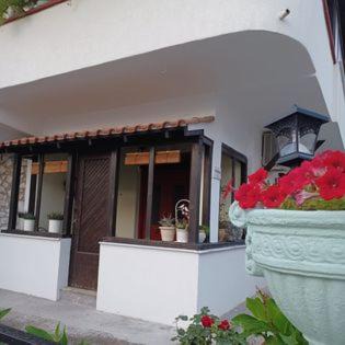 Krinidhes Apartamento | Kalliopi's House