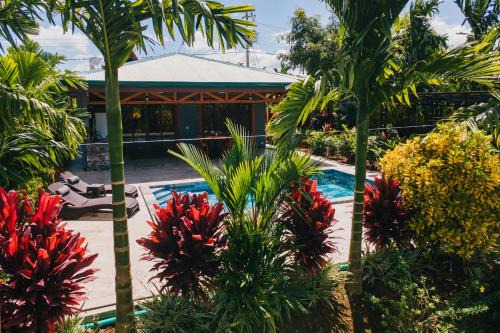 Peñas Blancas Villa | Kaluma Frog Farmstay Villa