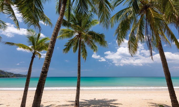 Kamala Complejo | Kamala Beach Resort, A Sunprime Resort - Adults Only