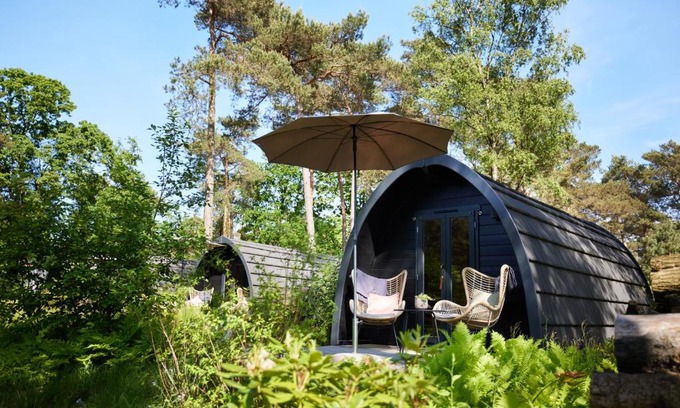 Oisterwijk Chalet De Esquí | KampinaStaete, hippe cottages midden in natuurgebied de Kampina Oisterwijk