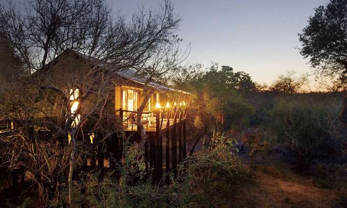 Thorny Bush Game Reserve Otro | Kapama Buffalo Camp
