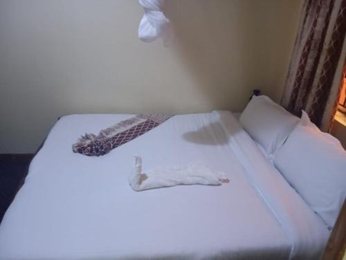 Central Business District Hotel | KAPOK CITY Self Contained Rooms