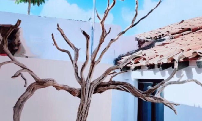 Concordia Hotel | Kasa Morelos Hotel Boutique