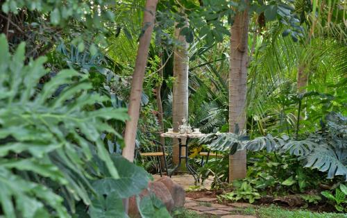 Kasane Casa | Kasane Self Catering