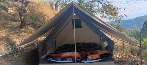 Almora Cabina | Kasar jungle camp