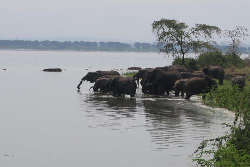Kasese Cabina | Kasenyi Lake Retreat Lodges & Campsite