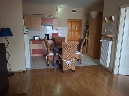 Cserkeszolo Apartamento | Kastély apartman