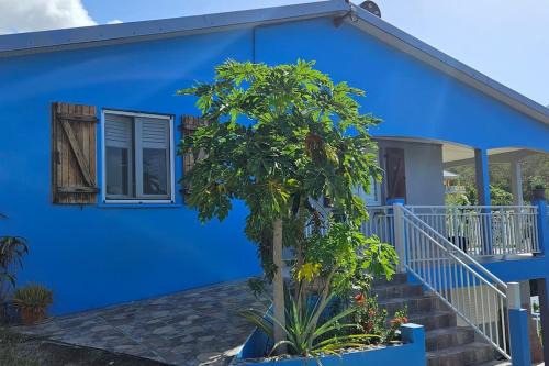 Les Anses-d'Arlets Casa | Kaz Colibri