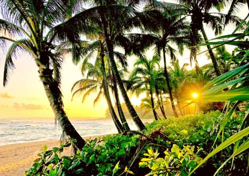 Kamuela Apartamento | KBM Resorts FREE CAR Islands at Mauna Lani 2-Bedroom Condo with Exclusive Private Beach Club and Sports Club Access IML-E4