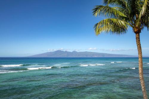 Honokowai Apartamento | KBM Resorts FREE CAR Lokelani Oceanfront 2-Bedrooms Condo Recently Remodeled LOK-B201