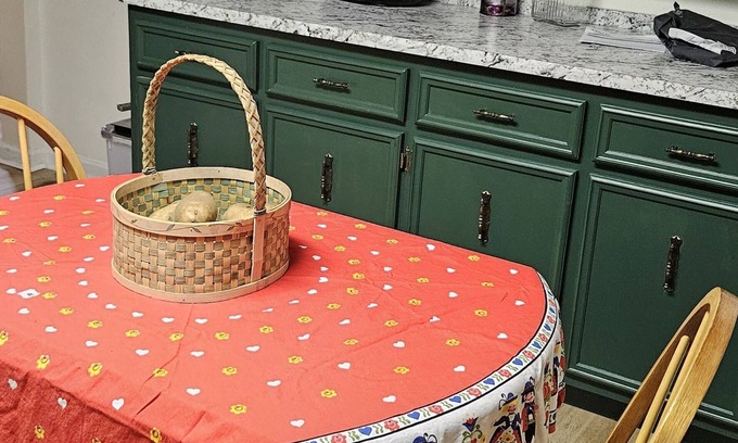 Dahlonega Casa | Keith Retreat Terrace: Mountain views, wineries --for singles and couples