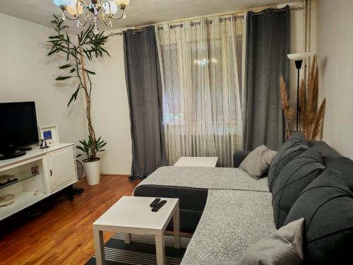 Gornji Milanovac Apartamento | Keližual