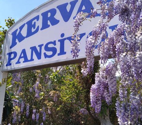 Cirali Casa | Kervan Pansiyon