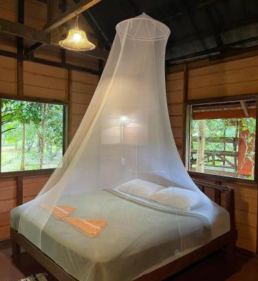 Khlong Sok Complejo | Khao Sok Green Mountain View