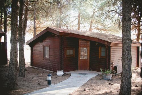 Ortal Complejo | Kibbutz Ortal Tourism