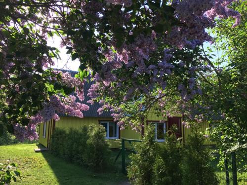 Kihnu Parish Casa | Kihnu Kuraga Homestay