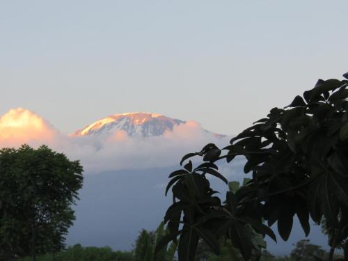 Moshi Hotel | Kilimanjaro White House Hotel