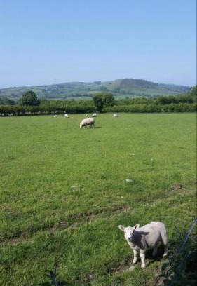 Cushendall Cama Y Desayuno | Killoughagh House
