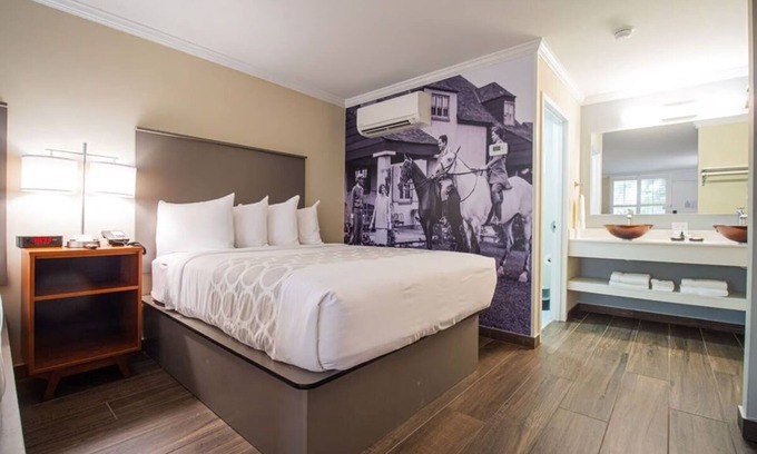 Ocala Hotel | King Junior at Equus Inn, Pet-friendly, Free Breakfast, Free Parking