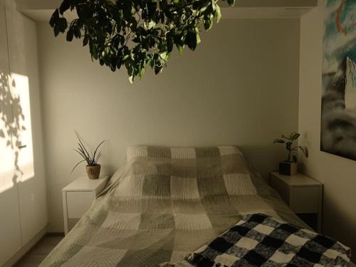 Lantinen District Apartamento | King's Oak Jungle