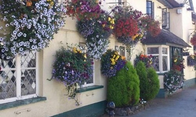 Tedburn St Mary Hotel | Kings Arms Inn
