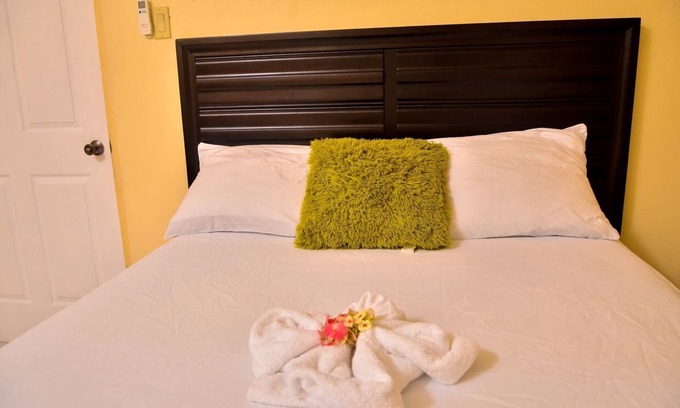 Molynes Gardens Apartamento | Kingston Sunset Guest Apartment I