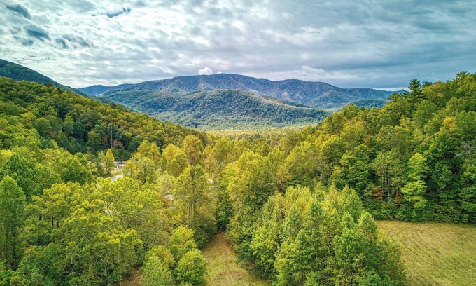 Cosby Cabaña | Kitt's Cottage, Pickleball Court, Creek, WIFI, Mountain Views, Starting at $79"