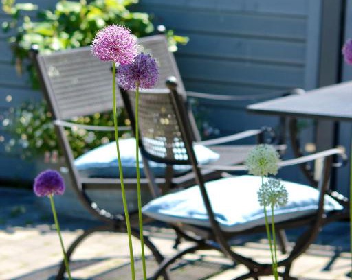 Hohwacht Apartamento | Kleines Landleben