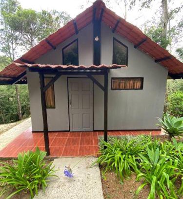 Canton Dota Casa | Koi's House - Quebradillas de Dota
