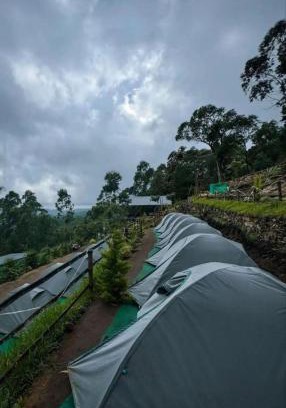 Suryanelli Otro | Kolukkumalai camp bookings