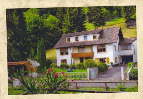 Frammersbach Apartamento | Komfortable Apartments Steger