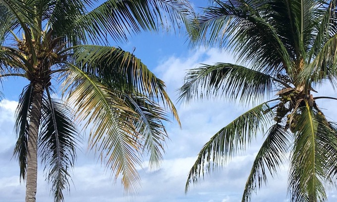 Honaunau-Napoopoo Cama Y Desayuno | Kona Bayview Inn