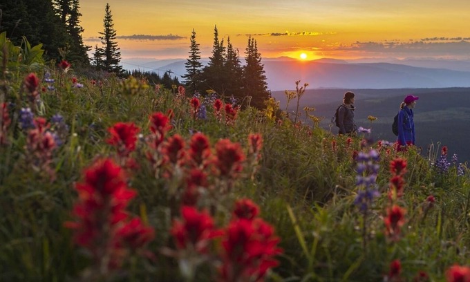 Sun Peaks Condominio | Kookaburra Lodge #303 By Bear Country
