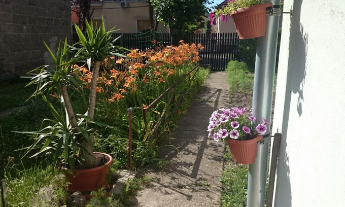 Erzsebetfalva Apartamento | Kossuth Lajos u. 176.