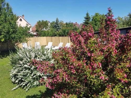 Matraderecske Apartamento | Kovács Vendégház