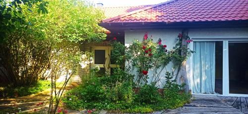 Bad Rodach Casa | Kräutermanufaktur Roßfeld
