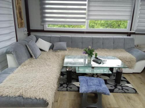 Central Serbia Apartamento | Krčma u Planini