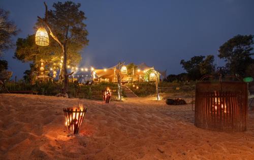Kruger National Park Otro | Kruger Untamed - Tshokwane River Camp