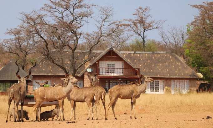Waterberg Cabina | Kudumela Bush Lodge